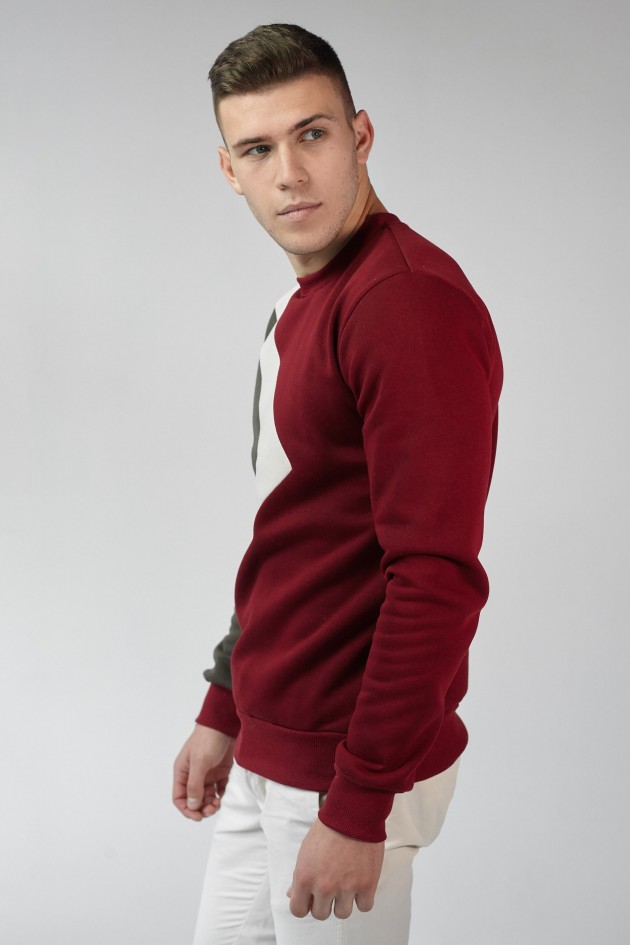 Чоловічий вишитий світшот Burgundy+Beige+Khaki