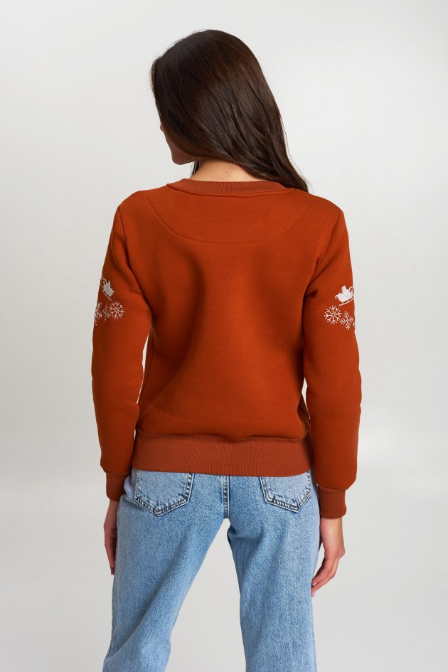 New Year's sweater Women's brown with Santa Claus